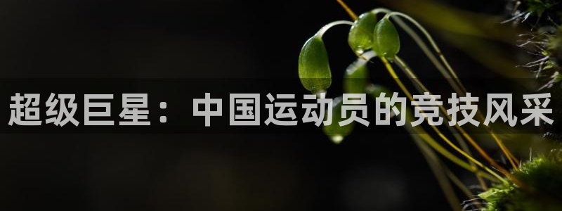 ug环球官网