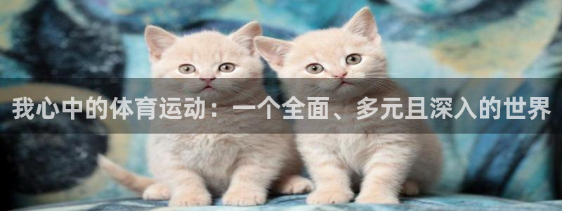 菲律宾ug环球官网：我心中的体育运动：一个全面、多元且深入的世界