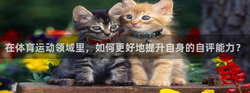 菲律宾ug环球官网：在体育运动领域里，如何更好地提升自身的自评能力？