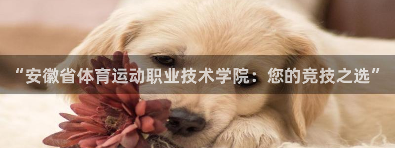 ug环球官网注册：“安徽省体育运动职业技术学院：您的竞技之选”