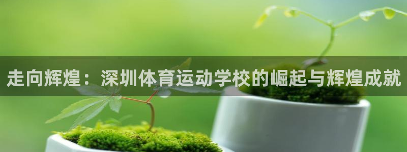 ug环球官网注册：走向辉煌：深圳体育运动学校的崛起与辉煌成就