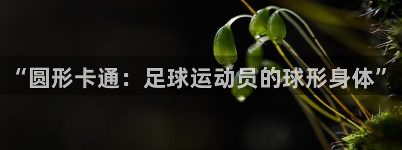 ug环球官网：“圆形卡通：足球运动员的球形身体”