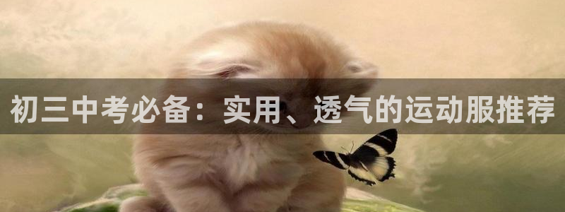 ug环球官网注册：初三中考必备：实用、透气的运动服推荐