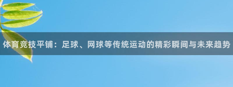 ug环球官网：体育竞技平铺：足球、网球等传统运动的精彩瞬间与未来趋势